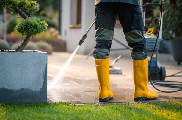 Best Roof Power Washing Services  in Mount Airy, MD